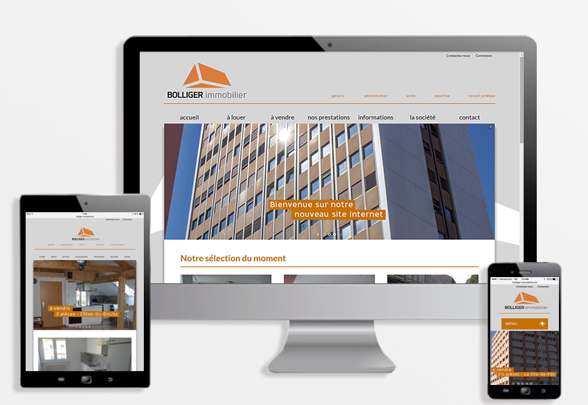 bolliger immobilier site web