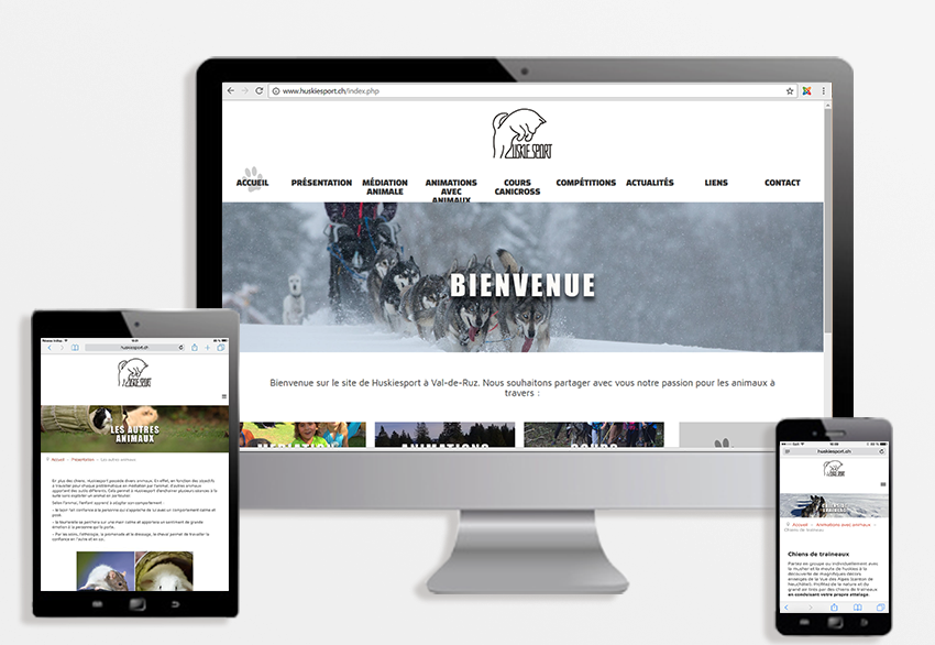 apercu huskiesport site web